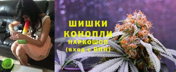прущие крисы Алзамай